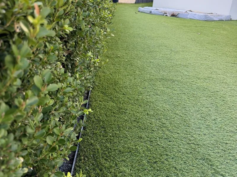Lawn and turf care on a Hills District property